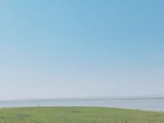 -合肥滨湖国家森林公园