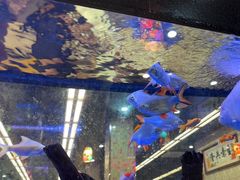 -新辉港式茶餐厅(北栅店)