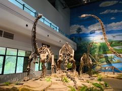 -自贡恐龙博物馆