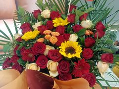 -红星美凯龙北京至尊MALL(东四环中路店)