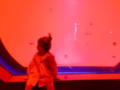 -沈阳海洋探索中心