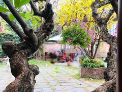 -Lam Vien Restaurant