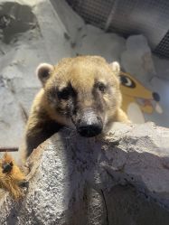 -Zoolung Zoolung动物主题公园(海信广场店)