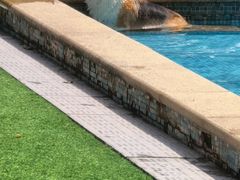 -汪说喵讲宠物乐园宠物酒店(红星美凯龙店)