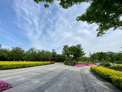 -上海山野camping·户外天幕烧烤·团建拓展营地