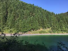 -武陵山森林公园