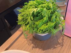 -额尔敦涮肉自助(摩尔城店)