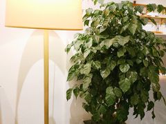 -禾气食店