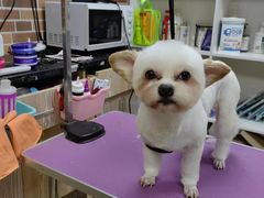 -安安宠医宠物医院·异宠·犬猫内科(岳阳分院)