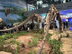 -自贡恐龙博物馆