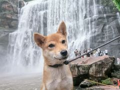 -赤水丹霞旅游区·大瀑布