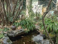 -谷咖啡·鲜花绿植花园餐厅