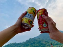 -风云岭森林公园