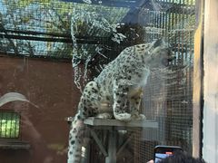 -青藏高原野生动物园
