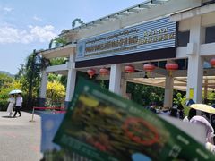 -中国科学院西双版纳热带植物园