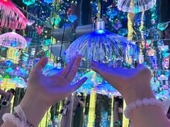 -深圳独角兽星空艺术馆