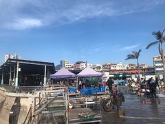 -霞涌市场海鲜摆卖区