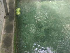 -四门塔风景区