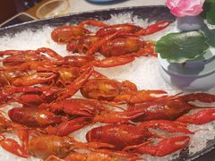 -舞虾小说.涮肉.烧烤(国顺东路店)