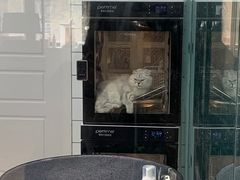 -老吴的猫·猫舍(新区店)