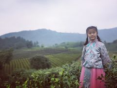 -帐篷客·溪龙茶谷度假酒店