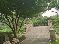 -圩墩遗址公园