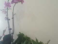 景观位-陈八两面家(华孚写字楼店)