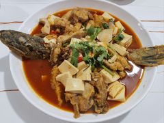 -煲来饱去冷水鱼