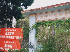 -南丫岛