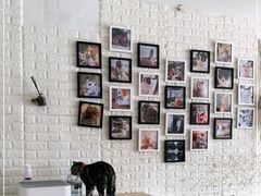 -平行世界·猫咖(首经贸店)