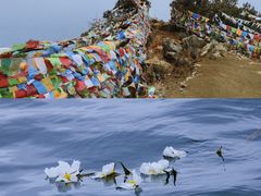 -丽江泸沽湖景区