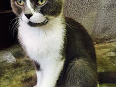 -MIKAKU(万达广场上海宝山店)