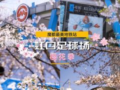 -顾村公园