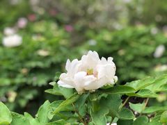 -江南大学(蠡湖校区)