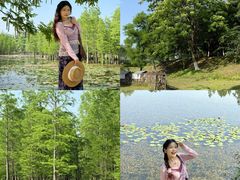-白鹭湾湿地公园