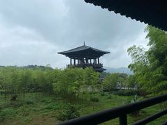 -大唐贡茶院