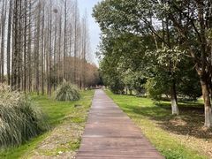 -南湖湿地公园