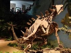 -自贡恐龙博物馆