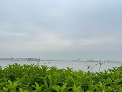 -海鸥岛
