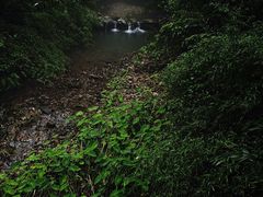 -韬光茶庵