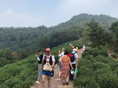 -西湖风景区十里琅珰-五云山