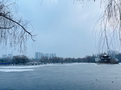 -青城公园