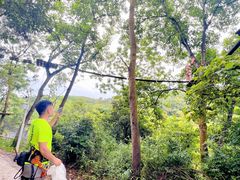 -芦仙山景区-飞越丛林探险乐园
