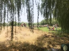 -长兴太湖图影湿地文化园