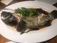 清蒸石斑鱼-泰华海鲜中餐厅(普吉镇店)