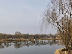 -稻香湖景欢乐岛温泉城堡