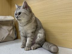 -美联众合爱康动物医院•复杂内科•肿瘤科•牙科•腔镜诊疗中心