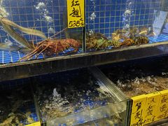 -德云居