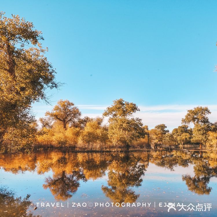 秋天必去的额济纳🍁每年国庆如期而至‼️