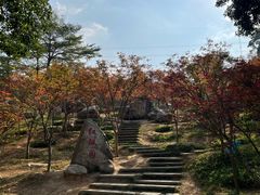 -广州市帽峰山景区
